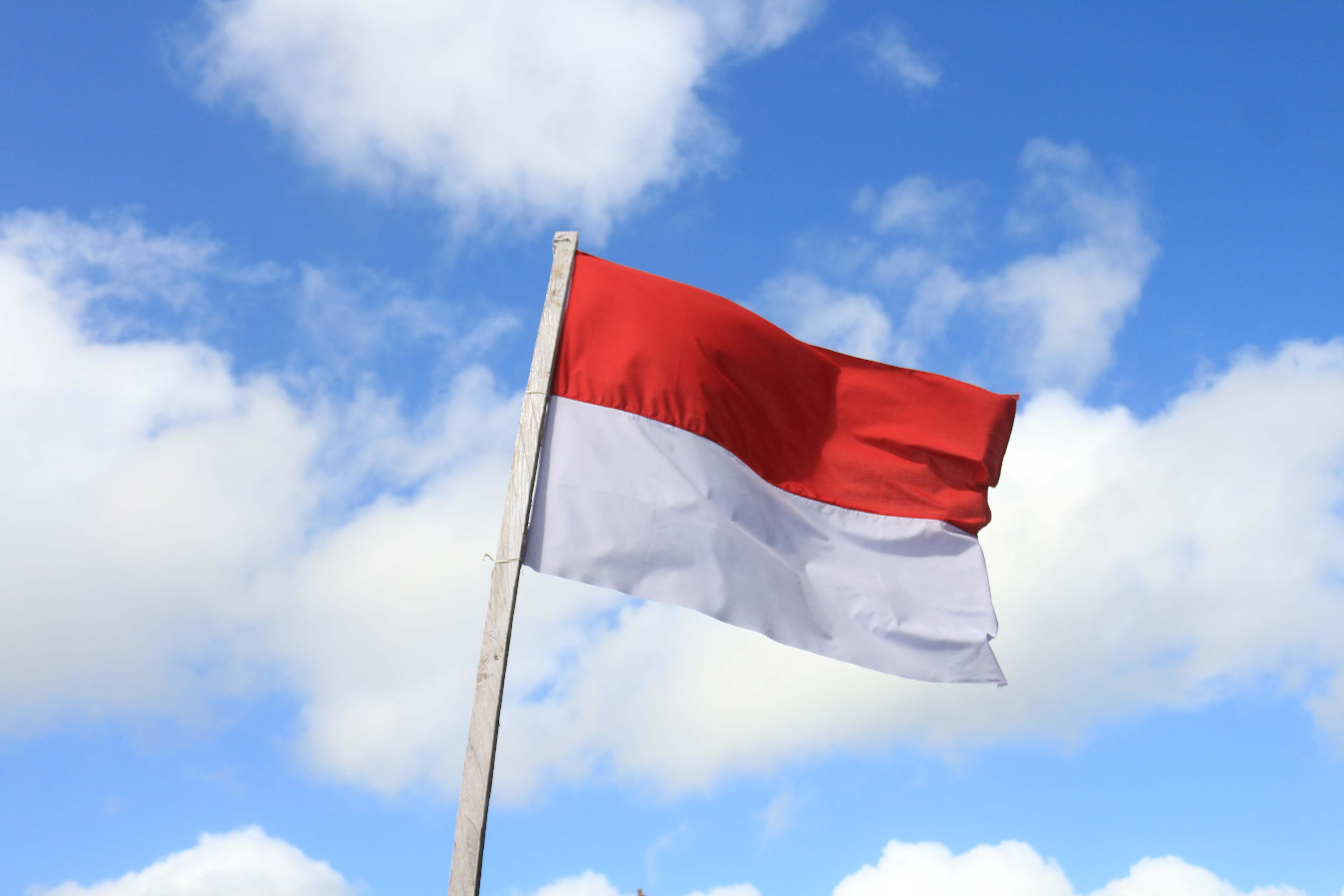 Indonesian flag
